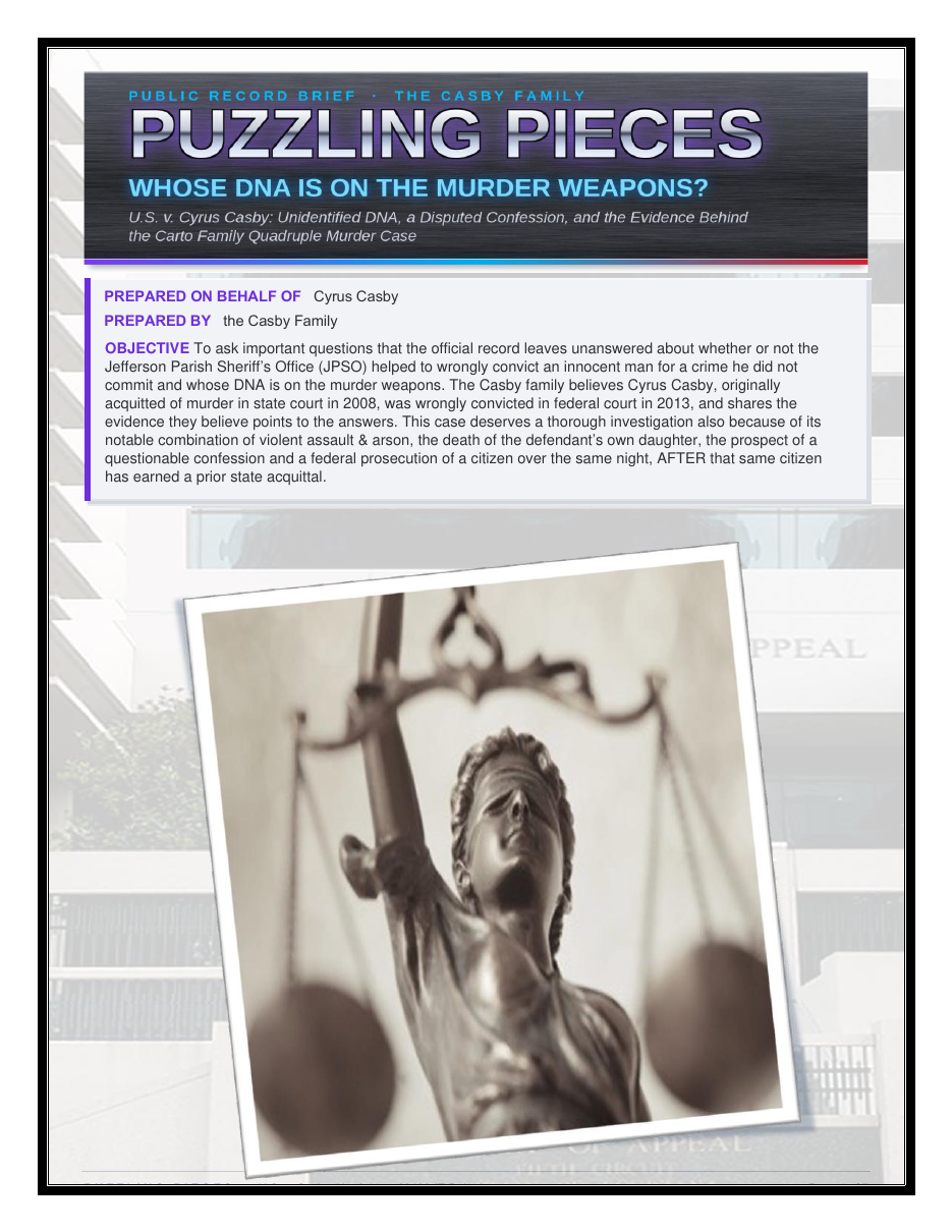 Cover page of the Puzzling Pieces document